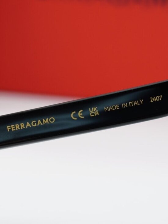 Salvatore Ferragamo SF2039SE 001 Cat Eye Sunglasses - Black / Grey main image 6